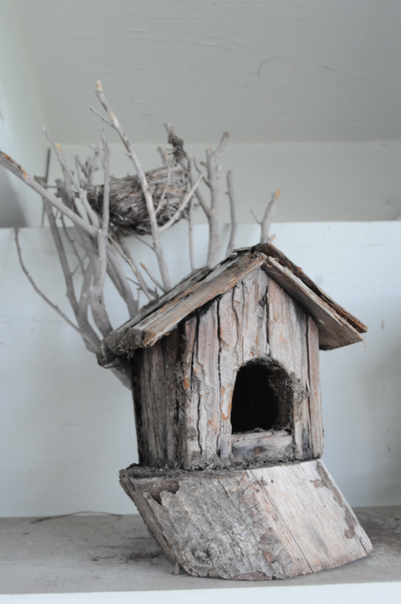 A Birdhouse with Birdnest